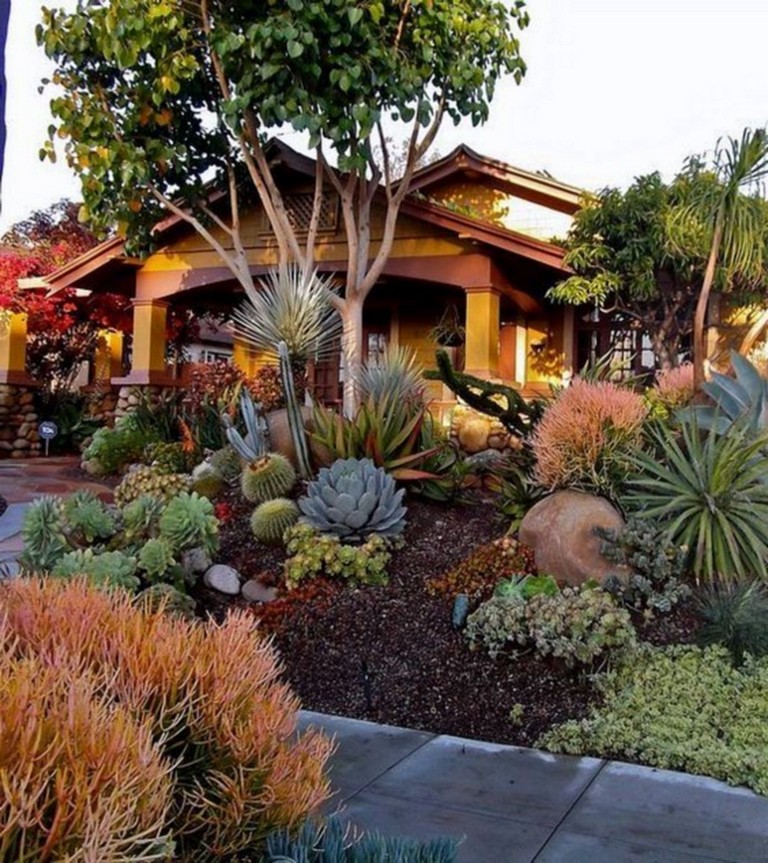 62 Top Xeriscape Landscaping Colorado Inspirations You Need To Know 