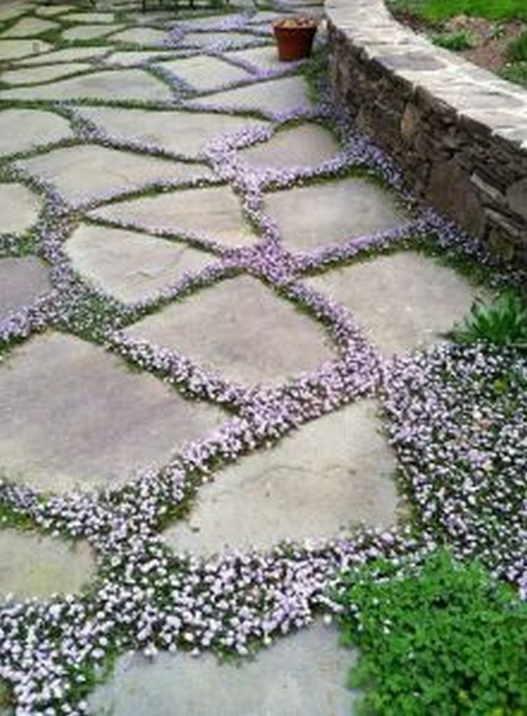 50 Luxury Garden Path Walkways Ideas Page 23 Of 54