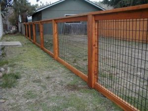 19+ Simple Cheap DIY Privacy Fence Design Ideas