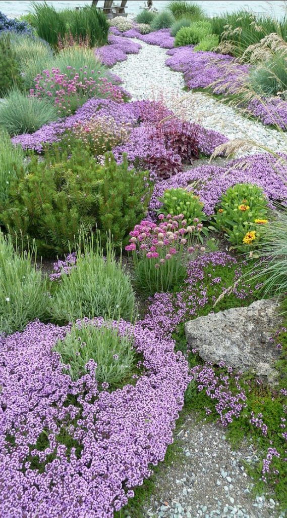 11+ Top Ideas For Garden Plants With Low Maintenance