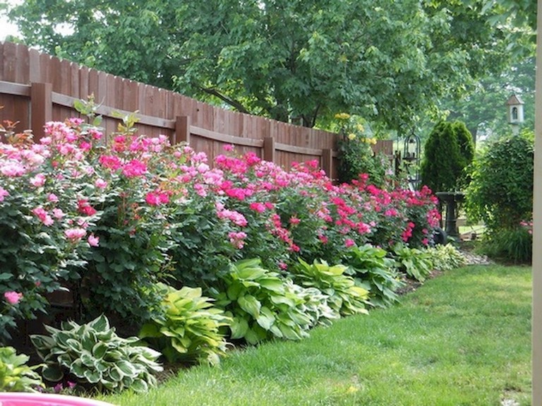 11+ Top Ideas For Garden Plants With Low Maintenance - Page 3 of 14