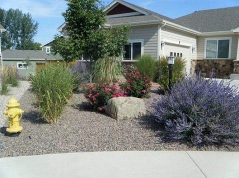 landscaping colorado