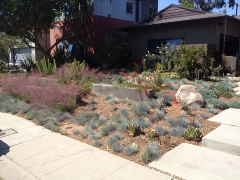 62+ Top Xeriscape Landscaping Colorado Inspirations You Need To Know ...