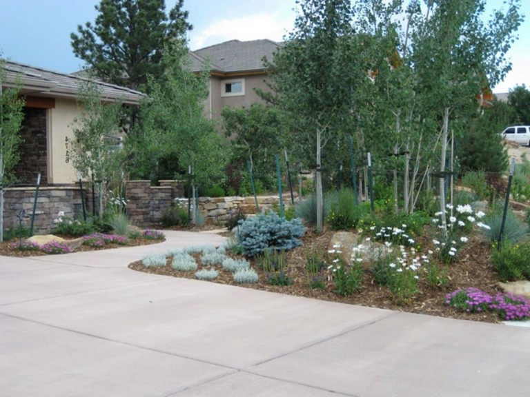 62+ Top Xeriscape Landscaping Colorado Inspirations You Need To Know ...