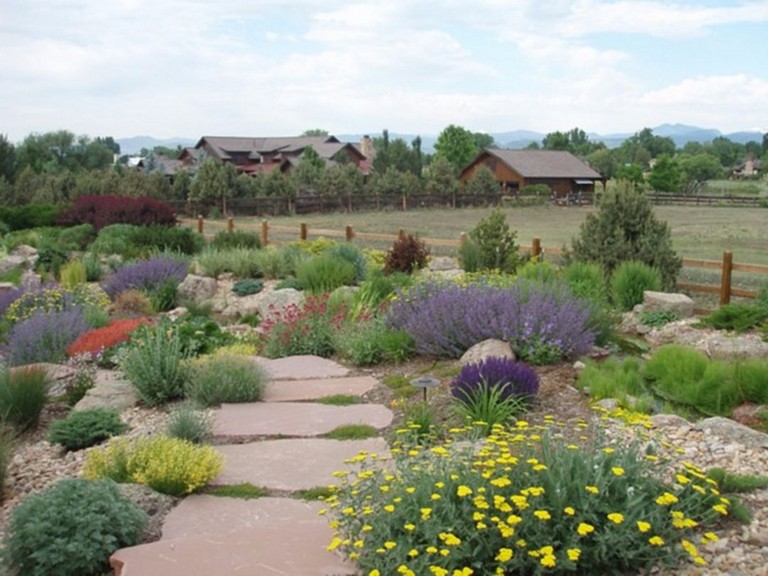 62+ Top Xeriscape Landscaping Colorado Inspirations You ...