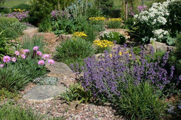 62+ Top Xeriscape Landscaping Colorado Inspirations You Need To Know ...