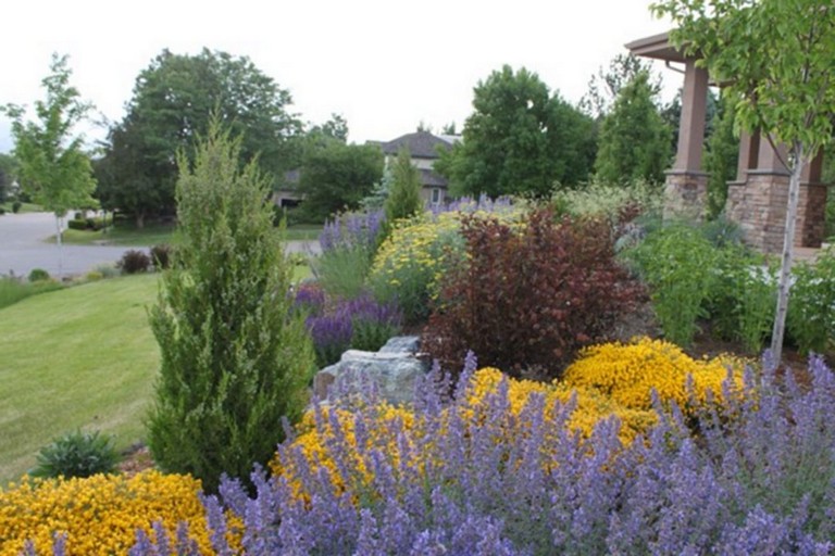 62+ Top Xeriscape Landscaping Colorado Inspirations You Need To Know ...