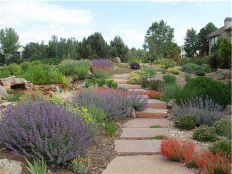 15 Top Xeriscape Landscaping Colorado Inspirations You Need To Know